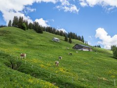 Vögels Neualpe