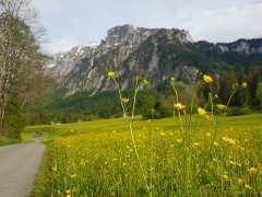 Enge Vorsäß mit Blick auf die Kanisfluh