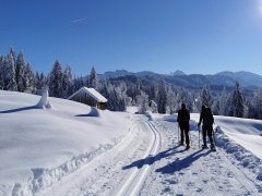 Winterwandern von Sibratsgfäll nach Schönenbach