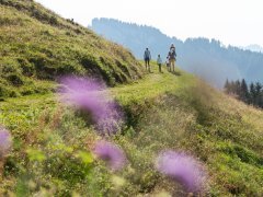 Wandern auf dem Sonderdach